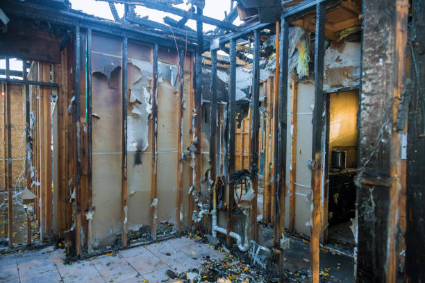 Professional Fire Damage Removal technician working in Flanders, NJ